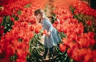 ترفند عکاسی با گوشی؛ عکس بهاری از کودکان در باغ لاله به شیوه‌ای متفاوت و ساده