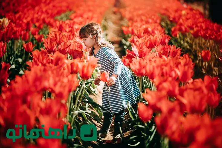 ترفند عکاسی با گوشی؛ عکس بهاری از کودکان در باغ لاله به شیوه‌ای متفاوت و ساده