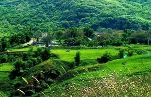 خوش‌عطرترین روستاهای موران اردبیل در فصل تابستان