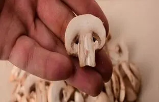 کشف اثر امیدوار کننده‌ قارچ در برابر سرطان پروستات