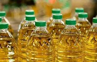 روغن کانولا یا آفتابگردان؟/ چرا می‌گویند روغن کانولا مصرف کنید؟
