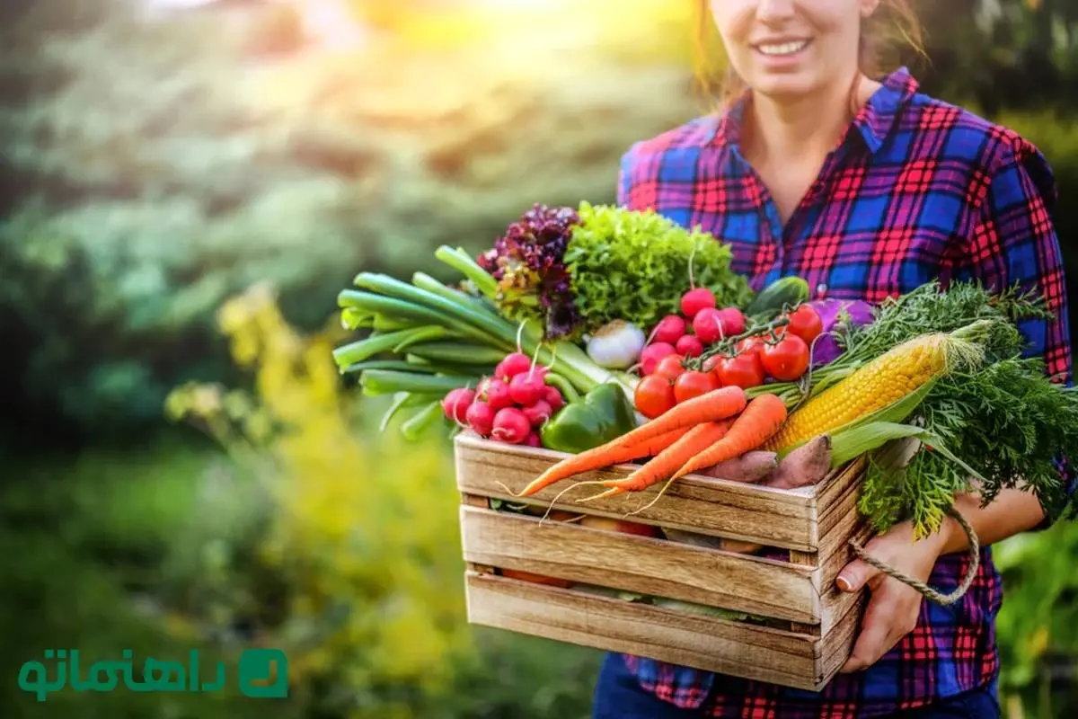 پرورش سبزیجات در خانه ؛ 10 گیاه خوشمزه و آسان برای کاشت