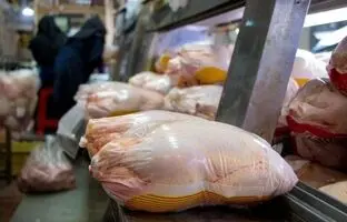 قیمت گوشت مرغ، امروز ۲۵ خرداد ۱۴۰۴