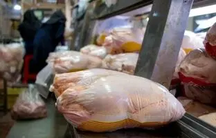 قیمت گوشت مرغ، امروز ۲۵ خرداد ۱۴۰۴