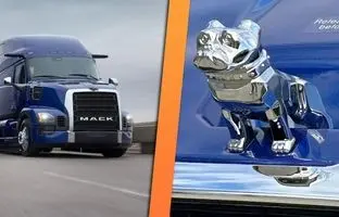 بولداگ افسانه‌ای «ماک» تغییر کرد + تصویر