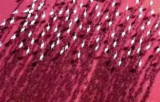 زیبایی‌ خیره‌کننده دریاچه مهارلو + ویدئو