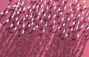 زیبایی‌ خیره‌کننده دریاچه مهارلو + ویدئو