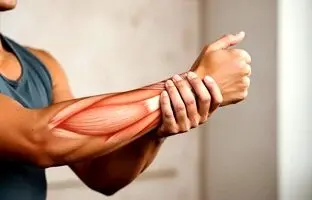 آموزش حرکات برای تقویت عضلات مچ دست + ویدئو