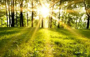 وضعیت هوا تهران امروز یکشنبه 18 خرداد