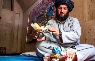 (ویدئو) ماجرای ممنوعیت کشت خشخاش در افغانستان چیست؟