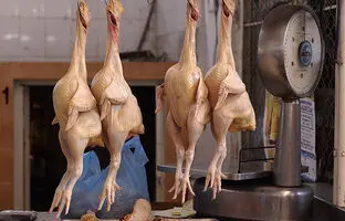 راهنمای بازار؛ قیمت گوشت مرغ، امروز ۳۰ اردیبهشت ۱۴۰۴
