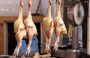
راهنمای بازار؛ قیمت گوشت مرغ، امروز شنبه ۱۶ فروردین ۱۴۰۴
