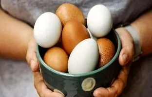 آیا خوردن تخم‌مرغ هر روز برای بدن ضرر دارد؟