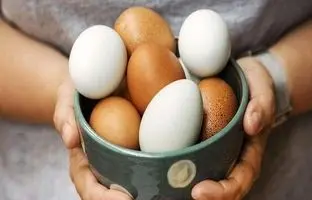 آیا خوردن تخم‌مرغ هر روز برای بدن ضرر دارد؟