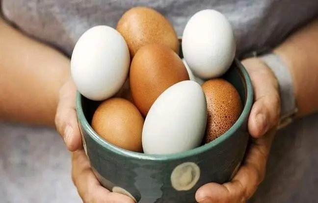آیا خوردن تخم‌مرغ هر روز برای بدن ضرر دارد؟