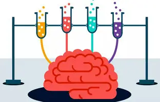 چگونه مغز ما گول می‌خورد؟ + ویدئو