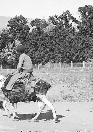  سفر به ایران قدیم؛ الاغ‌سواری خانوادگی در تهران در دوران قاجار + عکس