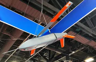 Lumberjack؛ پهپاد یکبار مصرف نورثروپ گرومن مسلح به ریزبمب‌های نقطه‌زن + ویدئو