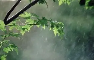 وضعیت آب و هوا امروز سه شنبه 15 آبان 1403/ پیش بینی وضعیت هوا فردا چهارشنبه 16 آبان