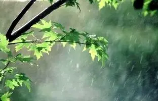 وضعیت آب و هوا امروز چهارشنبه 31 مرداد 1403/ پیش بینی وضعیت هوا فردا پنجشنبه یک شهریور