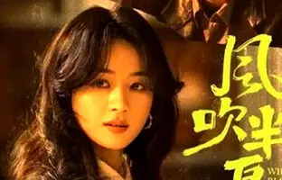 این سریال چینی با ۳۰ دوبلور آماده پخش شد