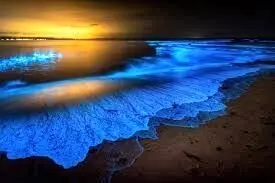 ساحل نورانی، رویایی در واقعیت بندر چابهار