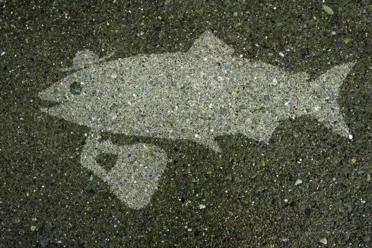  نقاشی‌های خلاقانه‌ای که فقط زیر باران دیده می‌شوند 