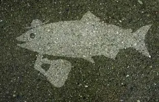  نقاشی‌های خلاقانه‌ای که فقط زیر باران دیده می‌شوند 