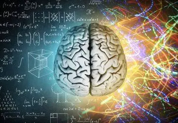 ظرفیت مغز انسان چقدر است؟