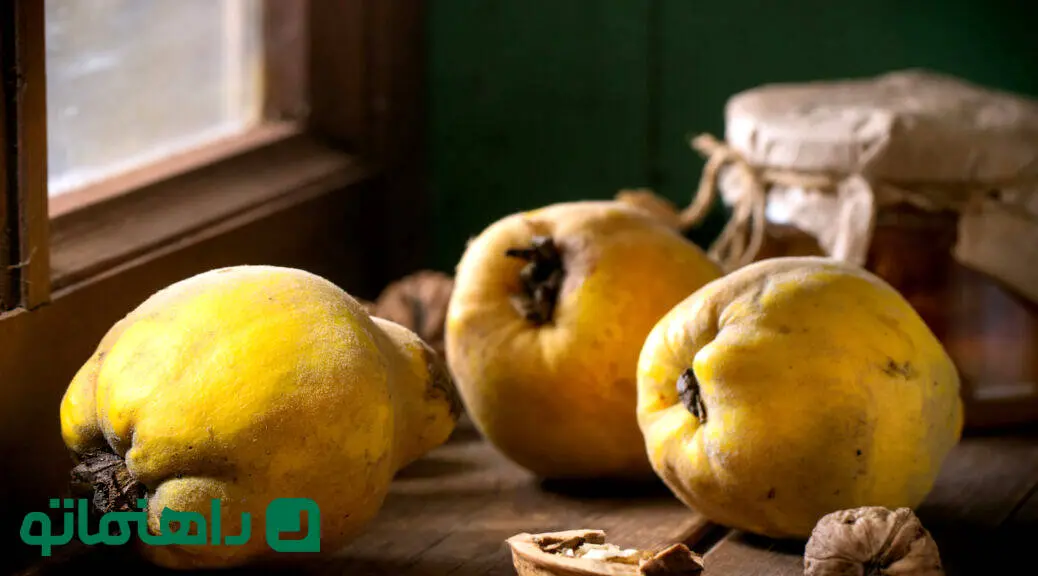 خواص و مضرات میوه به و دانه آن