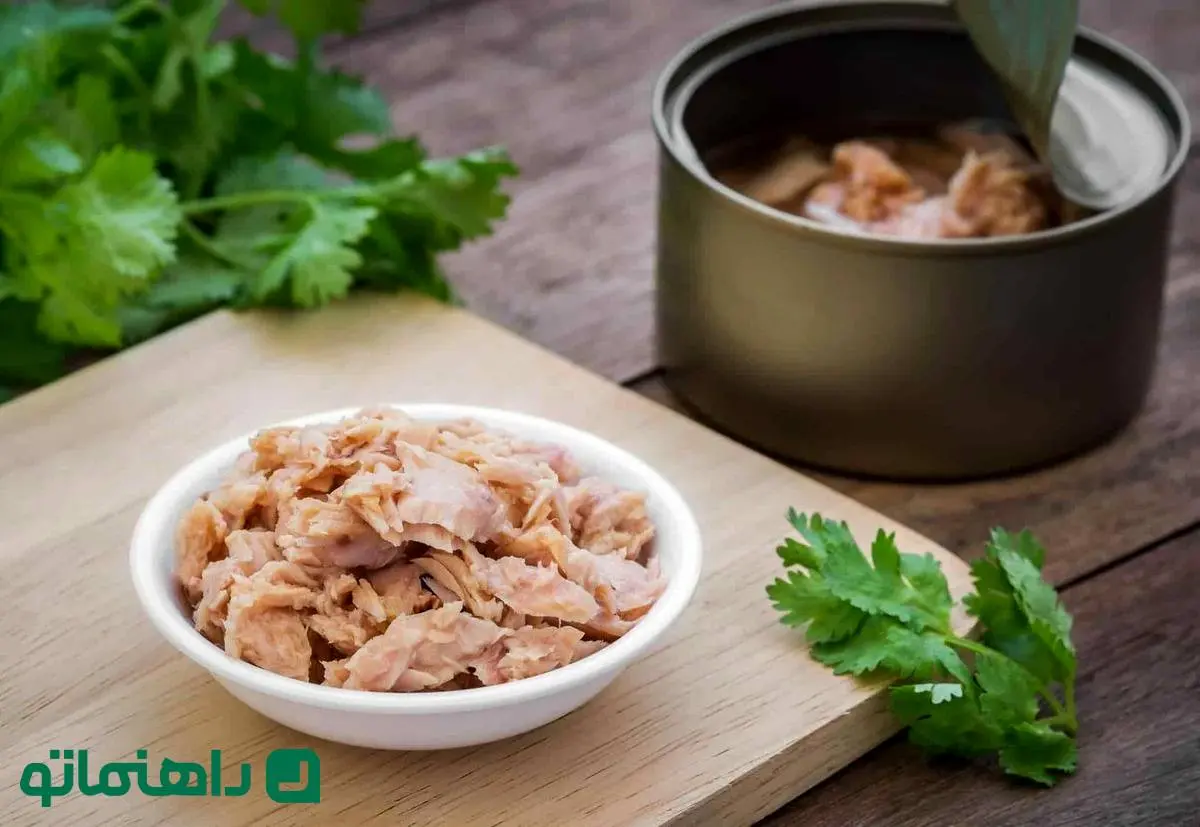 5 غذای ساده، سریع و متفاوت که میشه با تن ماهی درست کرد
