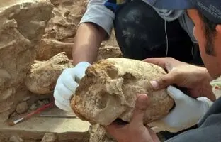 زنی با «جمجمه مخروطی» از زیر خاک بیرون آمد 