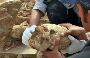 زنی با «جمجمه مخروطی» از زیر خاک بیرون آمد 