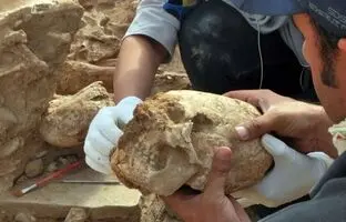 زنی با «جمجمه مخروطی» از زیر خاک بیرون آمد 