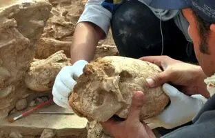 زنی با «جمجمه مخروطی» از زیر خاک بیرون آمد 