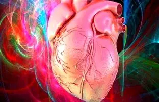 قلب ما مغز مخصوص به خود را دارد