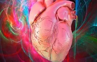 قلب ما مغز مخصوص به خود را دارد