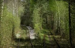 زیبایی حیرت‌انگیز تونل عشق در اوکراین! +ویدئو