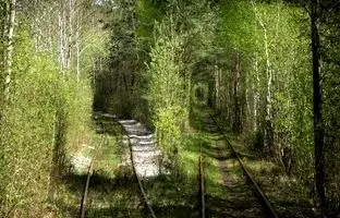 زیبایی حیرت‌انگیز تونل عشق در اوکراین! +ویدئو