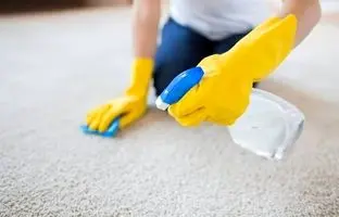  بهترین روش‌ها برای برای تمیز کردن فرش ماشینی بدون شست‌وشو 