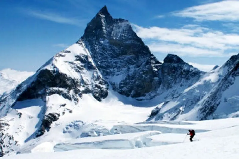  قانون پناهگاه چیست؟!