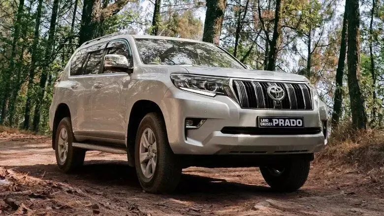 نام «پرادو» چه معنایی دارد؟ ریشه نام‌گذاری لندکروزر پرادو تویوتا چیست؟