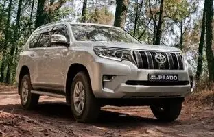نام «پرادو» چه معنایی دارد؟ ریشه نام‌گذاری لندکروزر پرادو تویوتا چیست؟
