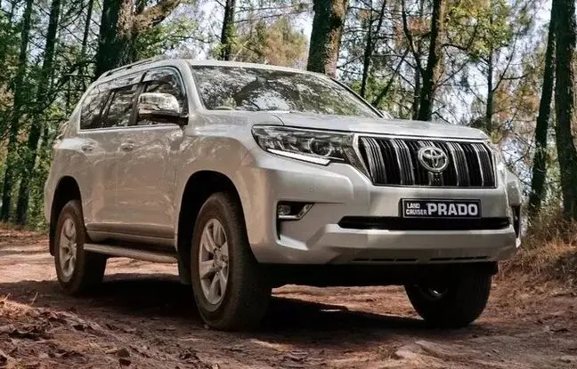 نام «پرادو» چه معنایی دارد؟ ریشه نام‌گذاری لندکروزر پرادو تویوتا چیست؟