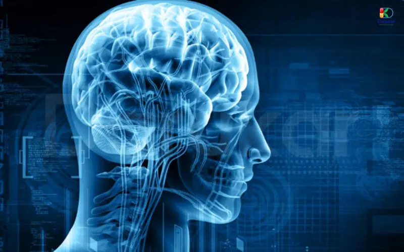 استانداردهای فعلی برای میزان مصرف ویتامین «ب۱۲» 