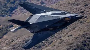 آشنایی با سوسک بدبوی ارتش آمریکا