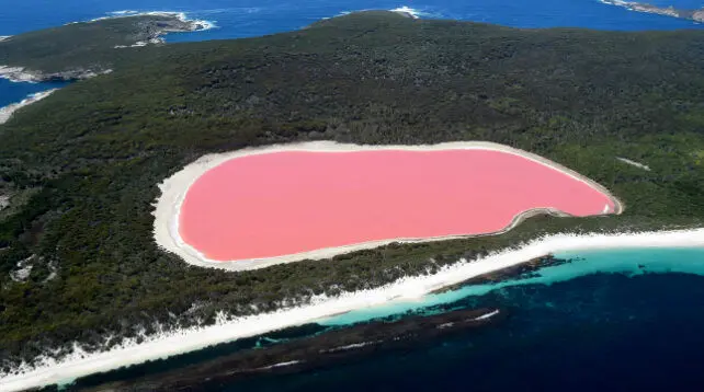 ۹ معمای طبیعت که دانشمندان هنوز نتوانسته‌اند حلشان کنند!