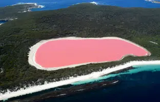 ۹ معمای طبیعت که دانشمندان هنوز نتوانسته‌اند حلشان کنند!