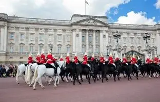حادثه عجیب برای دو اسب در رژه نظامی روز باستیل در پاریس + ویدئو