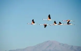 چرا آسمان آبی است؟